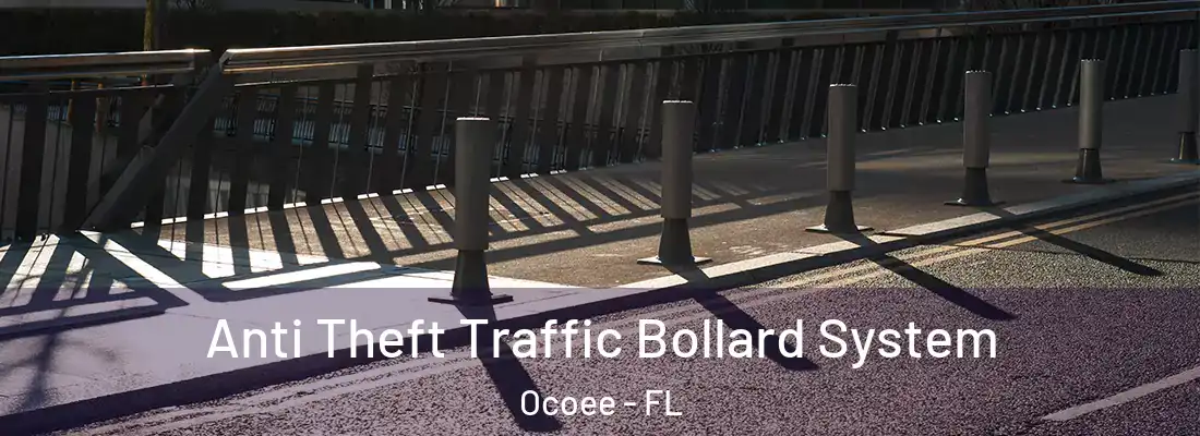Anti Theft Traffic Bollard System Ocoee - FL