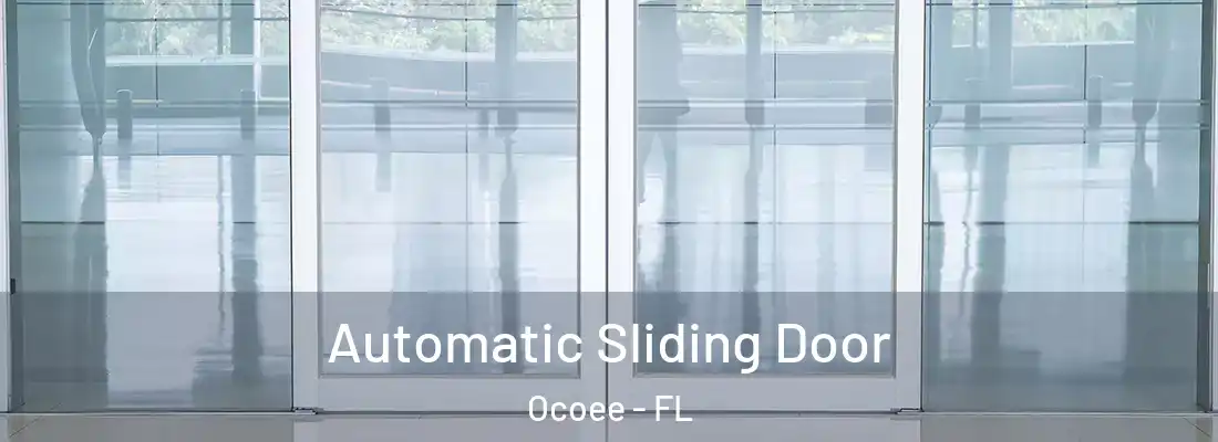Automatic Sliding Door Ocoee - FL