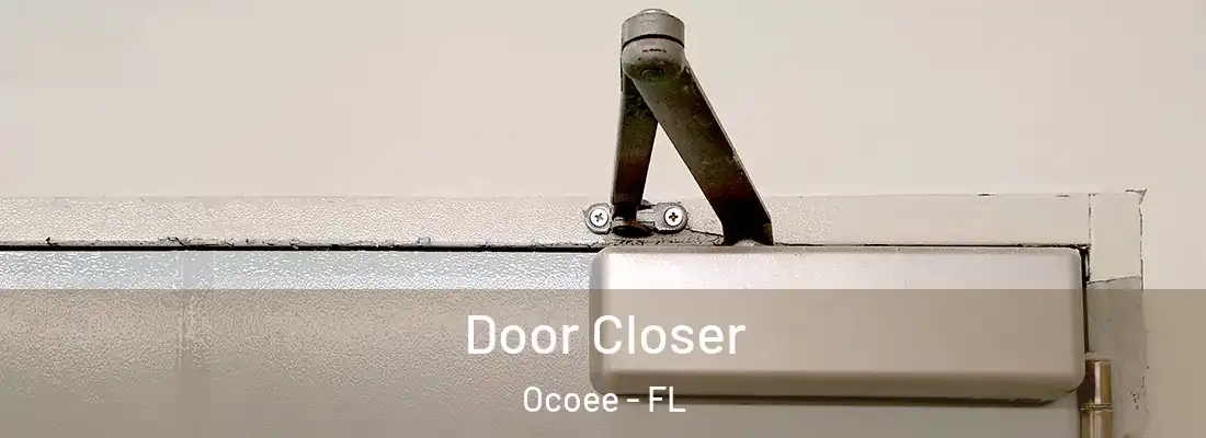 Door Closer Ocoee - FL