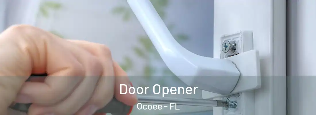 Door Opener Ocoee - FL