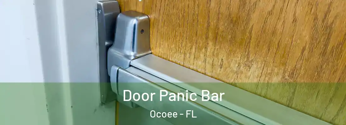 Door Panic Bar Ocoee - FL