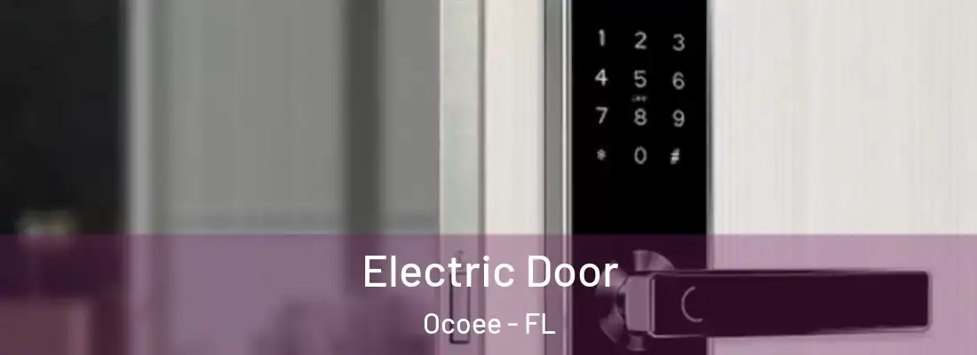 Electric Door Ocoee - FL