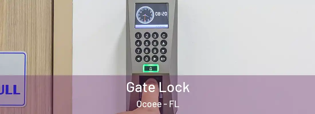 Gate Lock Ocoee - FL
