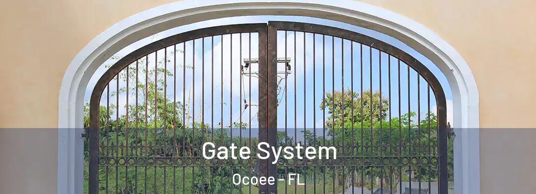 Gate System Ocoee - FL