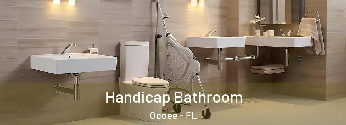 Handicap Bathroom Ocoee - FL