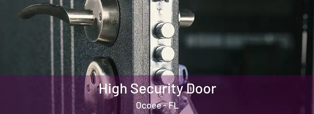 High Security Door Ocoee - FL