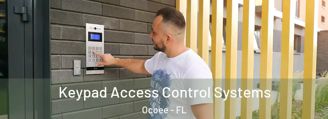Keypad Access Control Systems Ocoee - FL