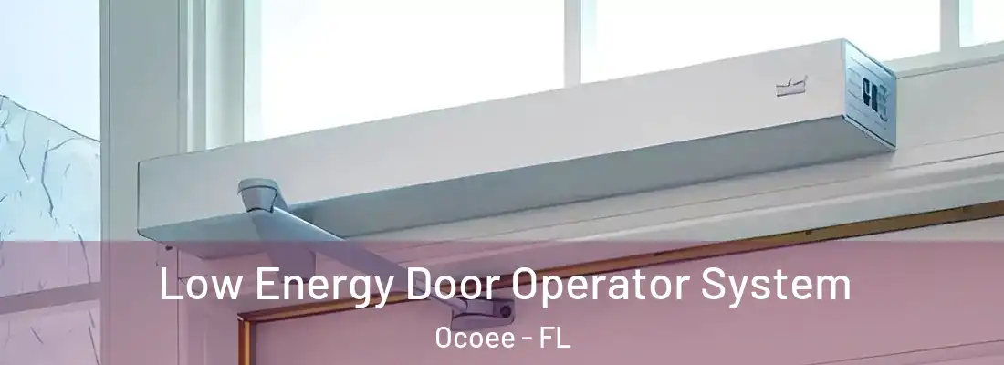 Low Energy Door Operator System Ocoee - FL