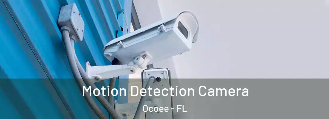 Motion Detection Camera Ocoee - FL