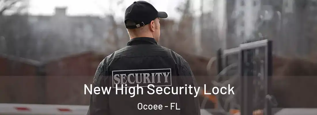 New High Security Lock Ocoee - FL