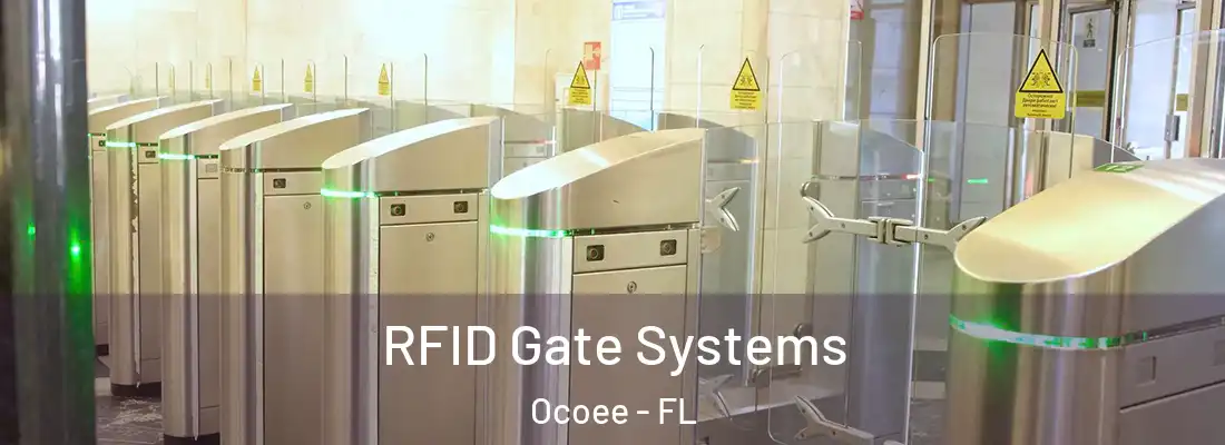 RFID Gate Systems Ocoee - FL