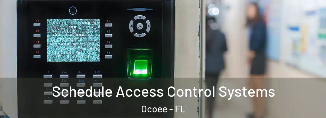 Schedule Access Control Systems Ocoee - FL