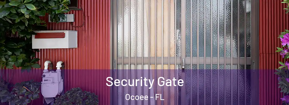 Security Gate Ocoee - FL