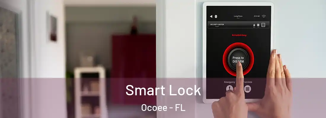 Smart Lock Ocoee - FL